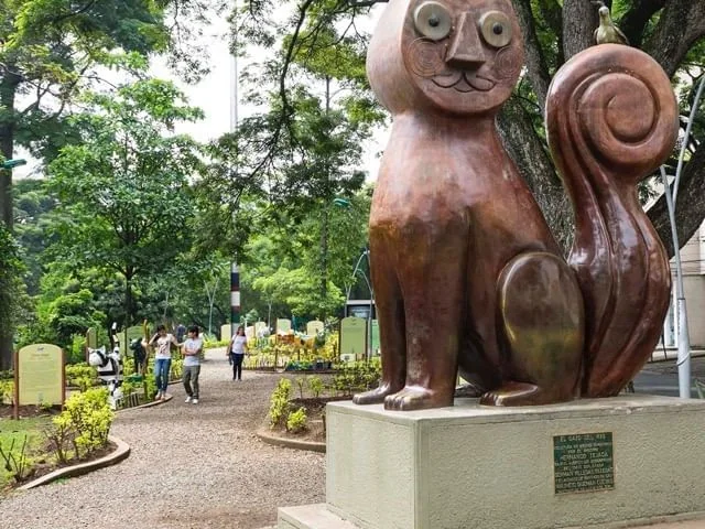 El Gato del Río